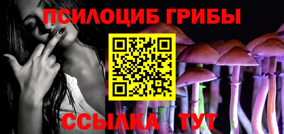 хочу   Вход с VPN  Псилоцибиновые грибы прущие грибы  Балтийск  Псилоцибиновые грибы GOLDEN TEACHER 
